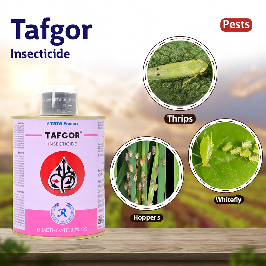 Tafgor