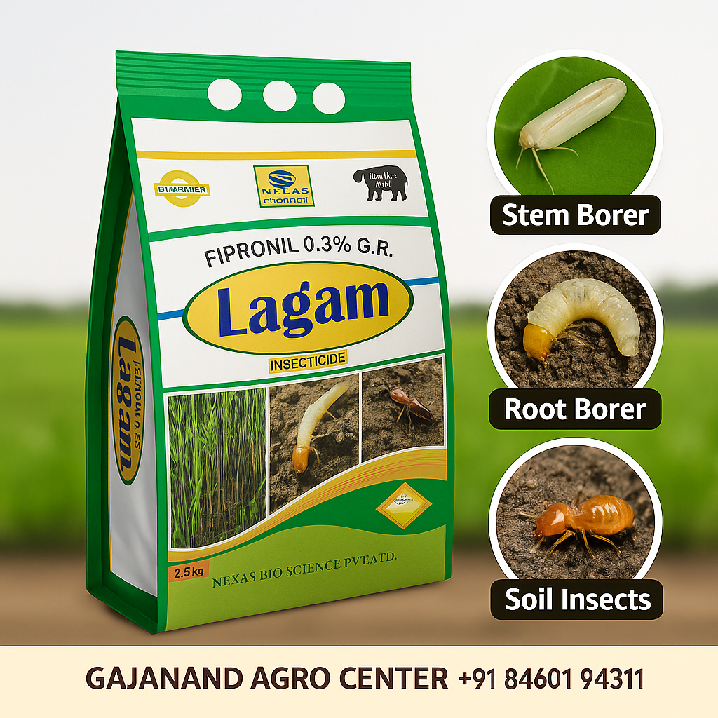Lagam – Fipronil 0.3% G.R. | Insecticide for Paddy