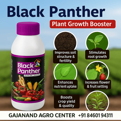 Black Panther - Gajanand Agro Center