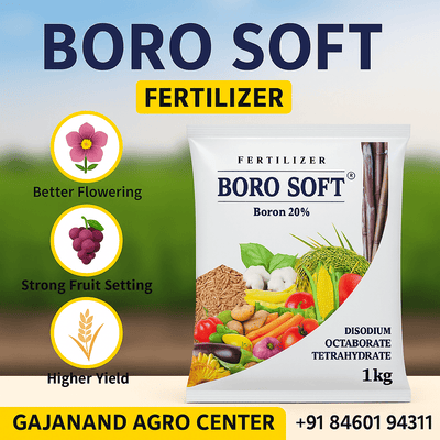 Boron - Gajanand Agro Center