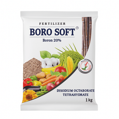 Boron - Gajanand Agro Center