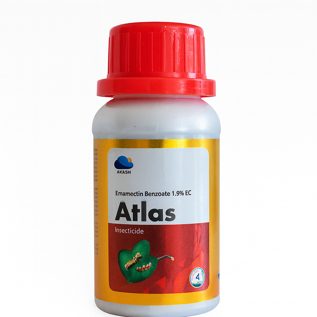 Atlas