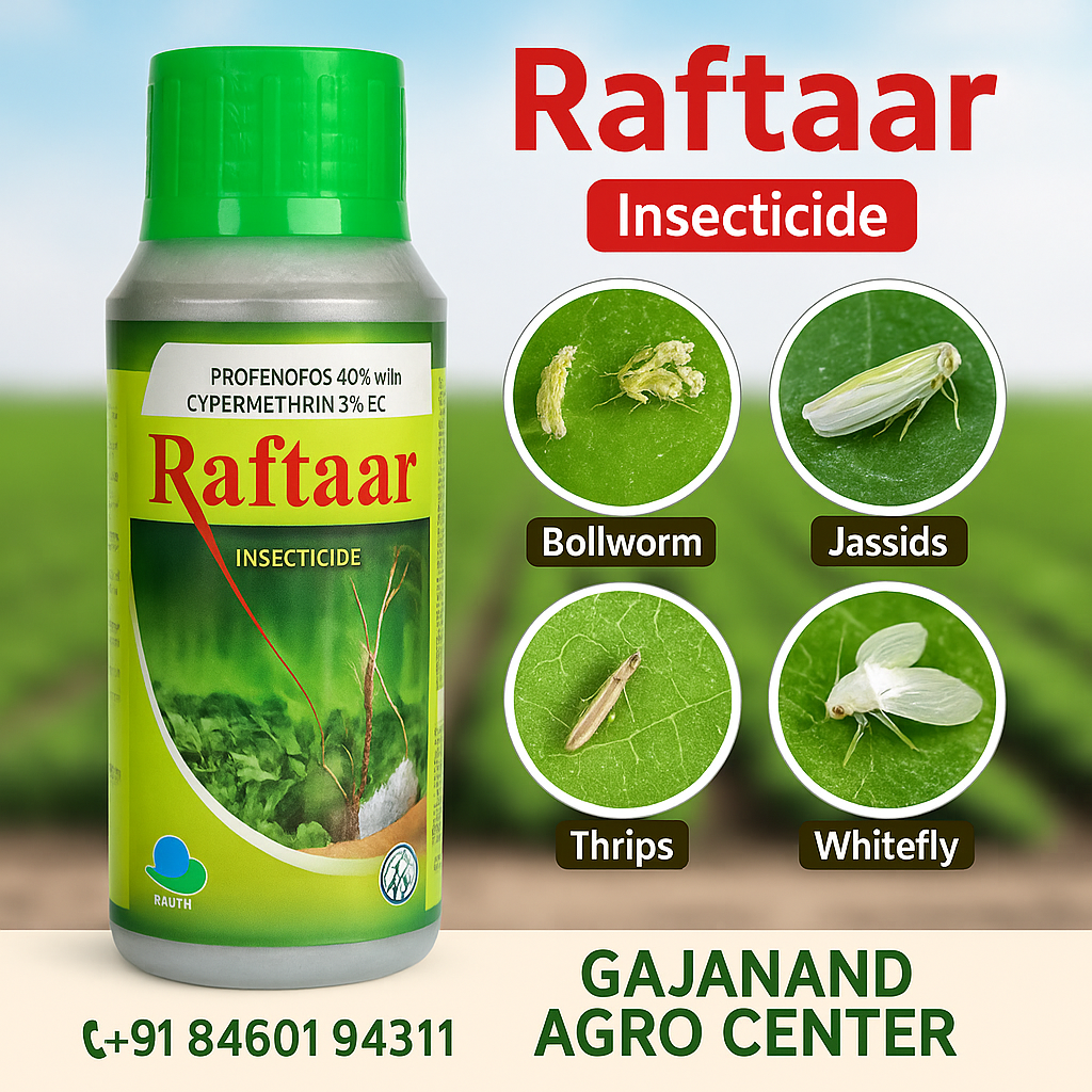 Raftaar