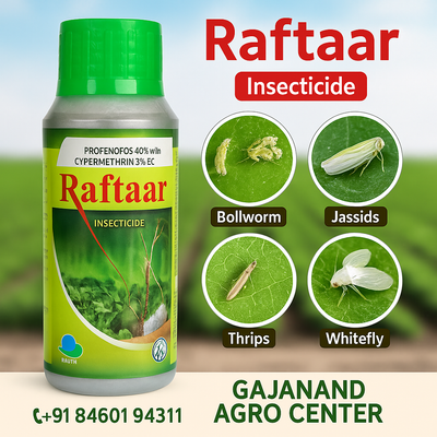 Raftaar