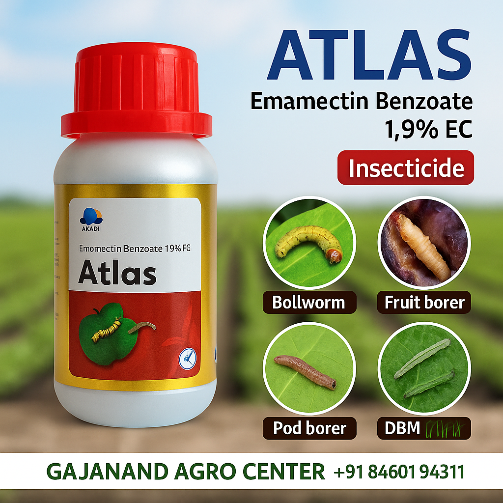 Atlas