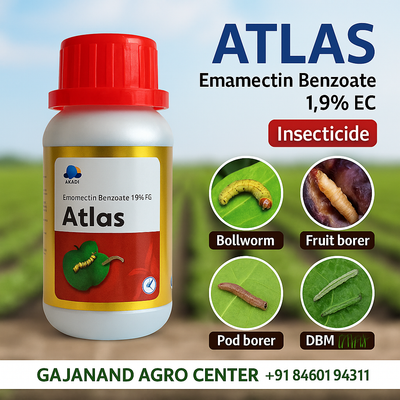 Atlas